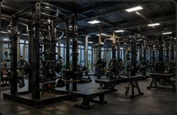Gym & Fitness Equipment